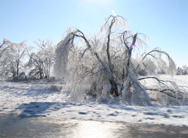 December 1st 2006 Central Illinois Ice Storm