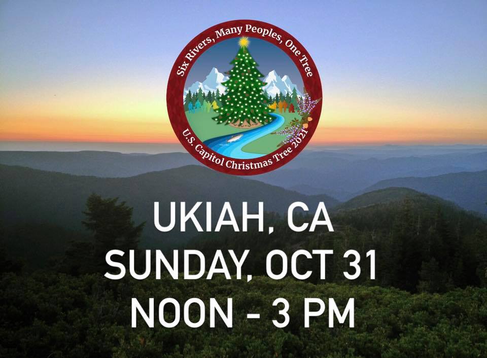 U.S. Capitol Christmas Tree Ukiah, CA U.S. Capitol Christmas Tree