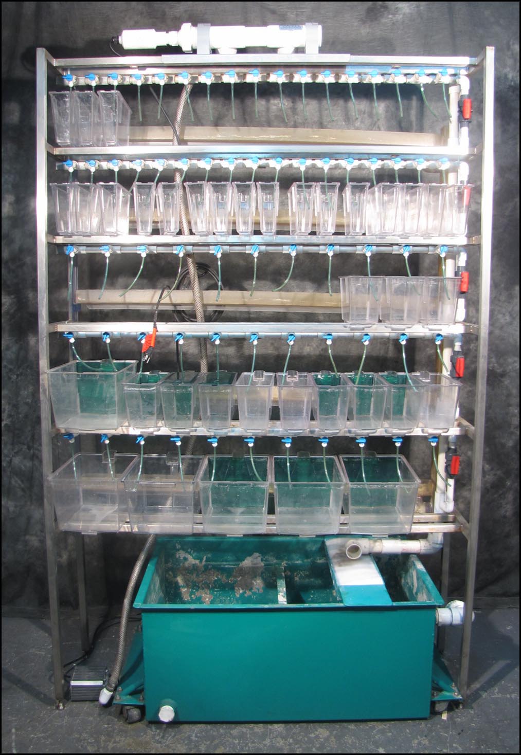 FISH BREEDING MULTIPLE TANK RACK SYSTEM eBay