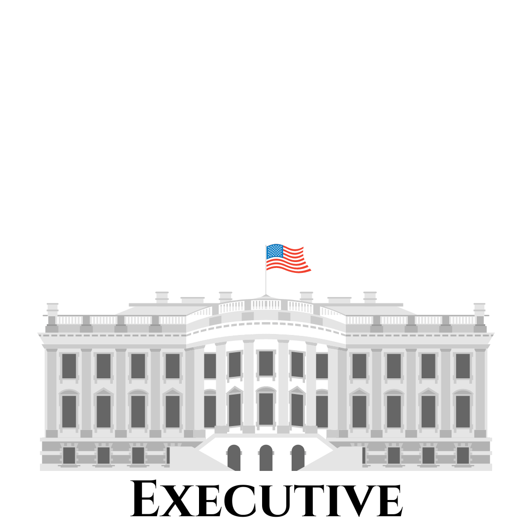 Making Law 101 U.S. Donor Conceived Council