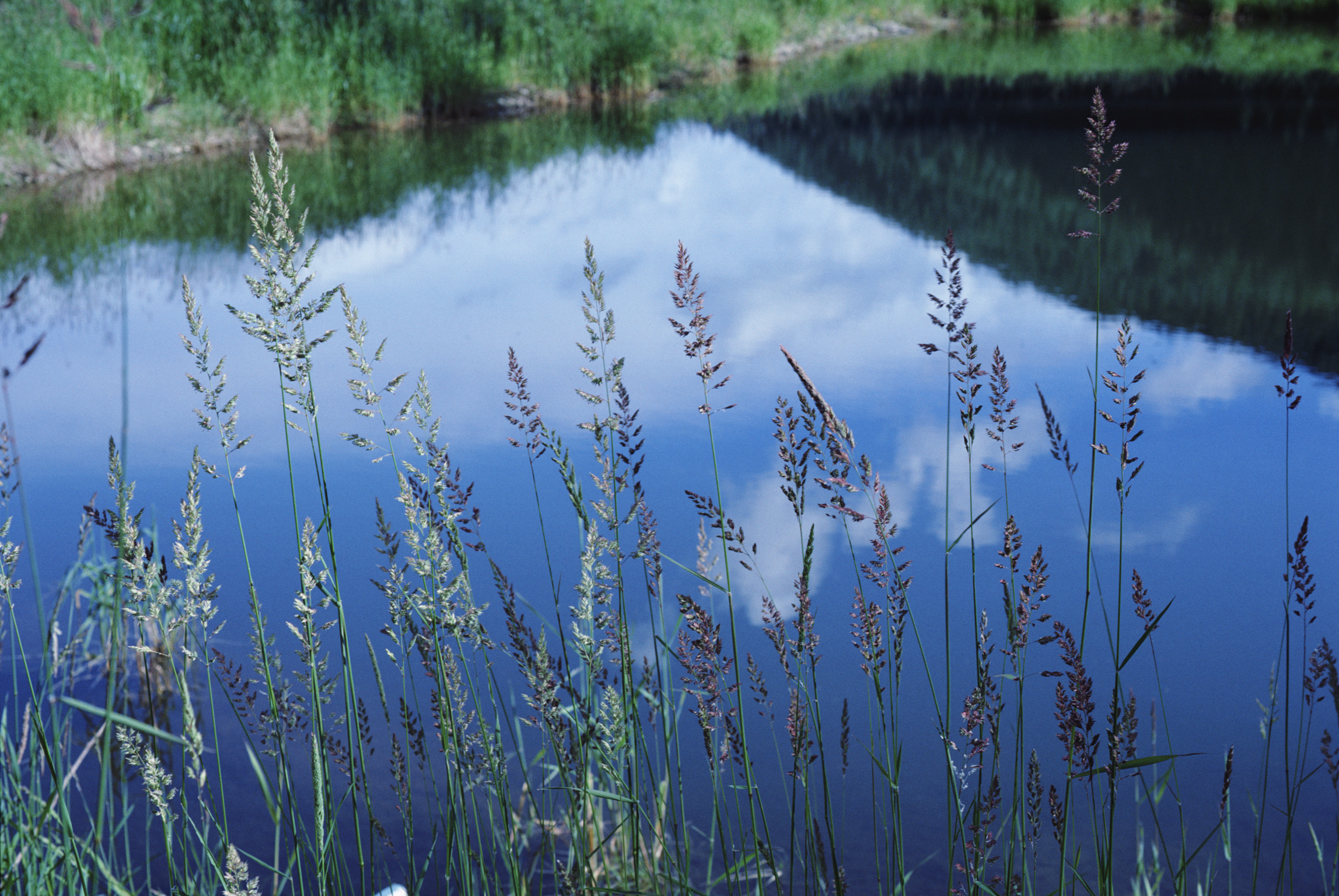 Credit Sensitive land protection U.S. Green Building Council