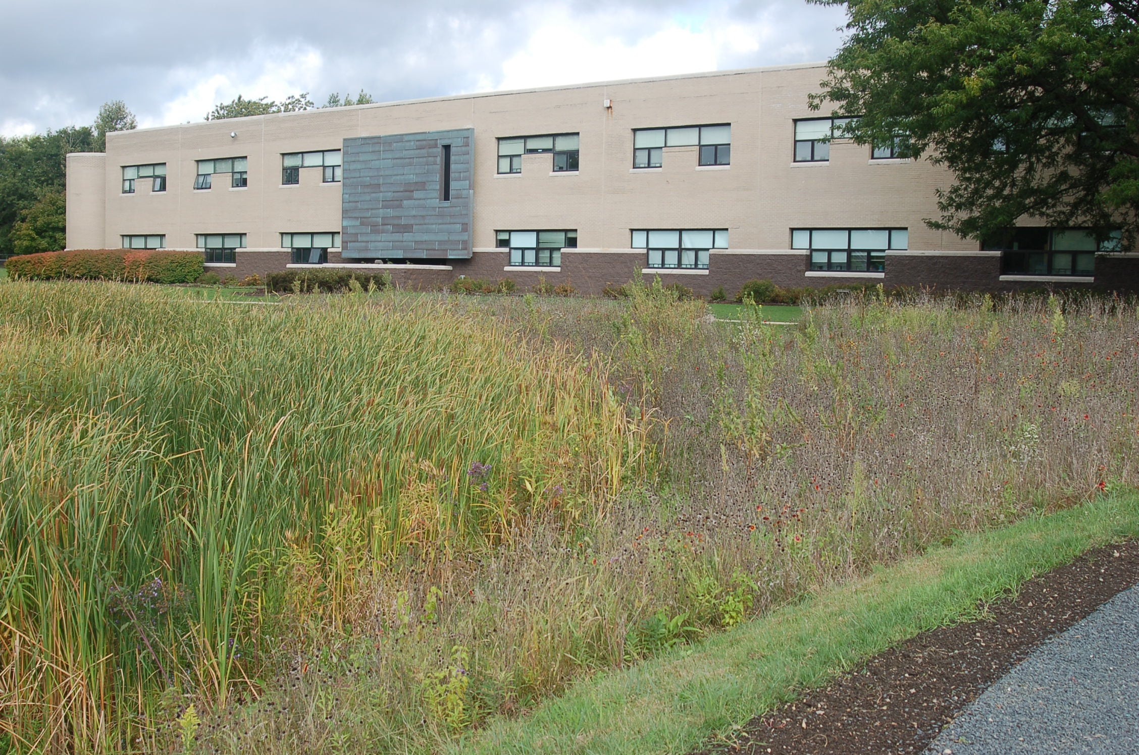 Adlai E Stevenson High School U.S. Green Building Council