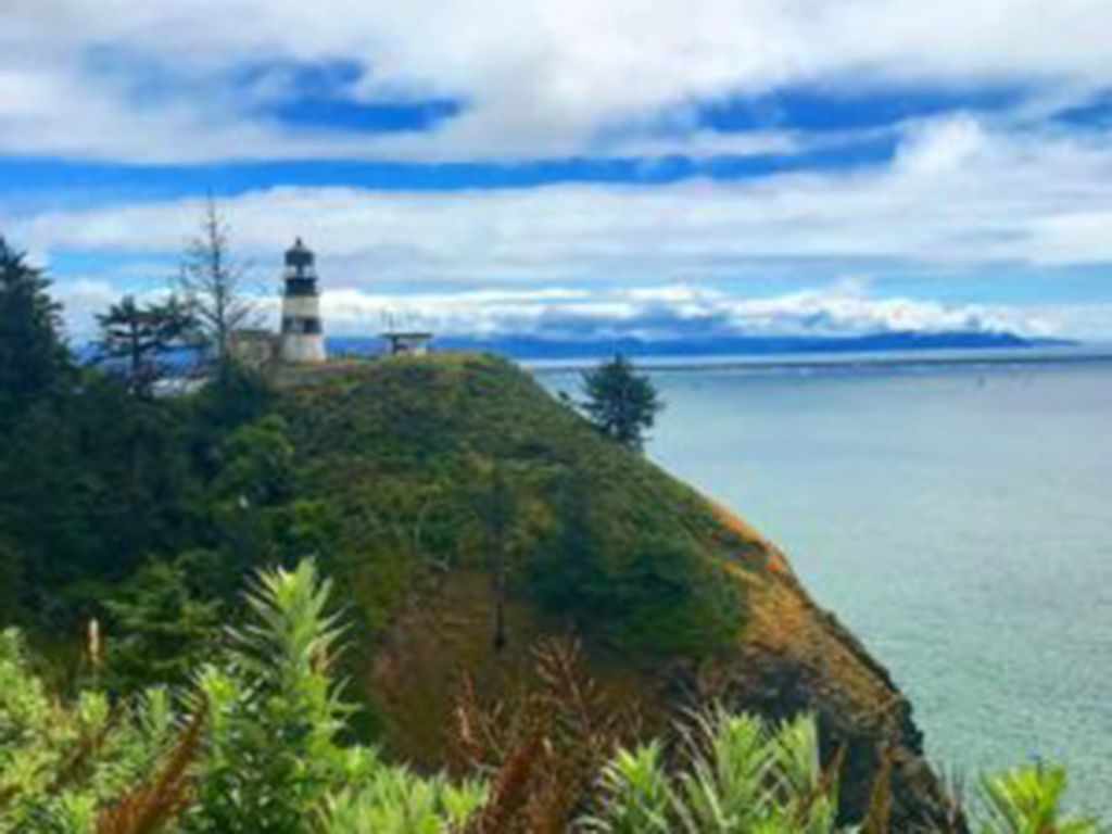 Washington’s BestKept Secret Long Beach Peninsula US Harbors