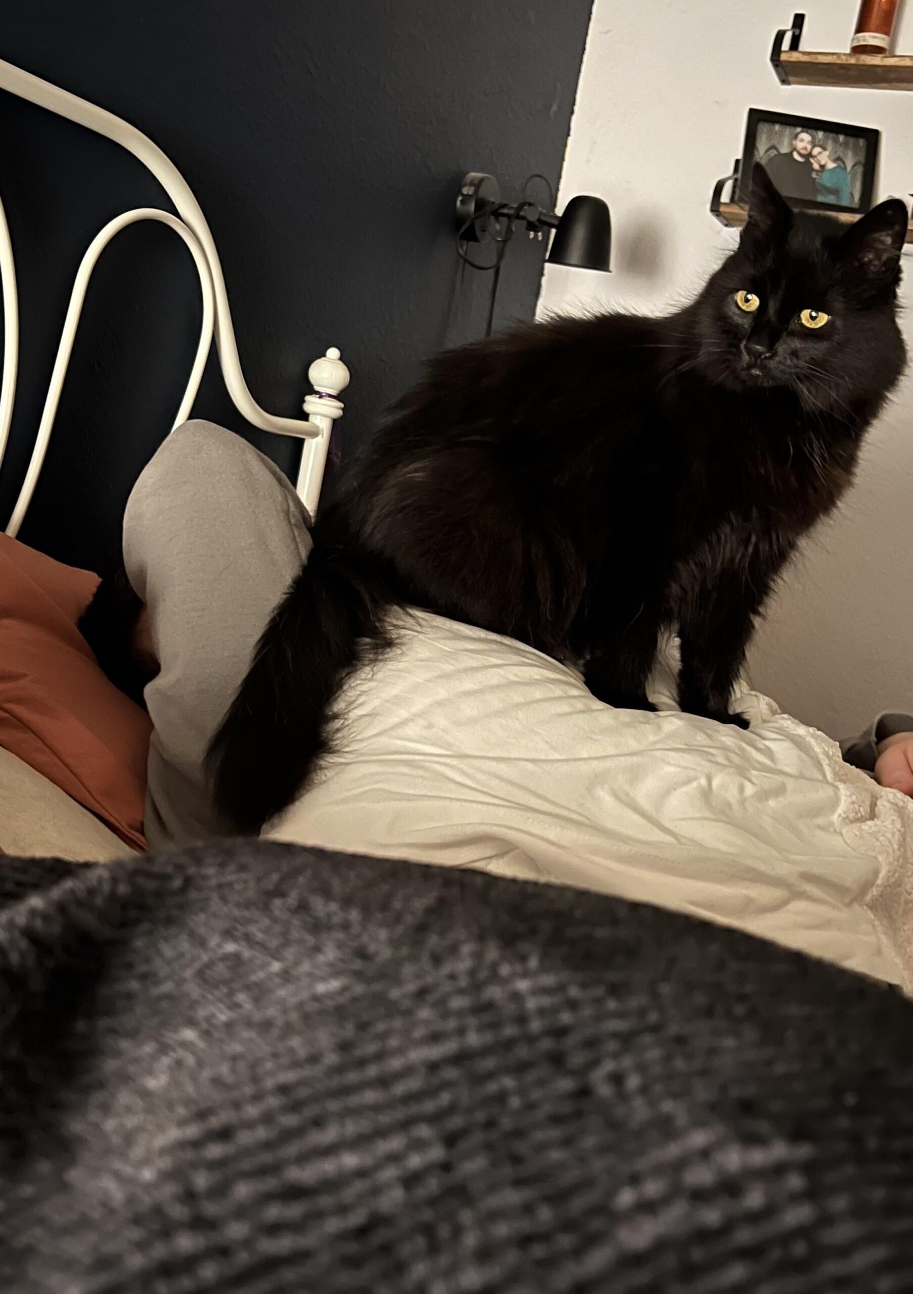 Disadvantage of sleeping with a pillow over your face. USLUCK