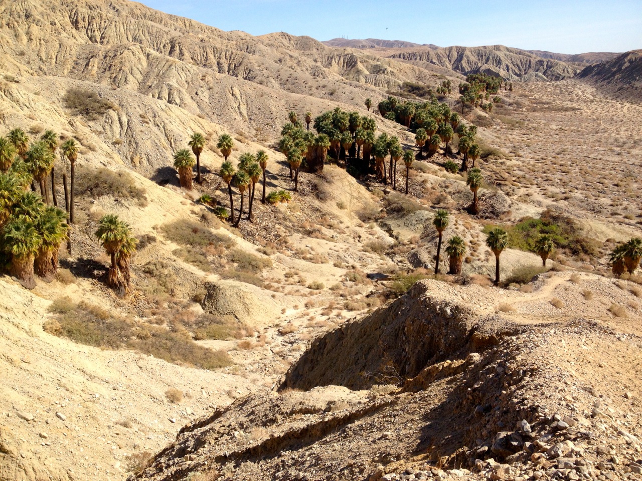 Why Build a Modular Home in Temescal Valley