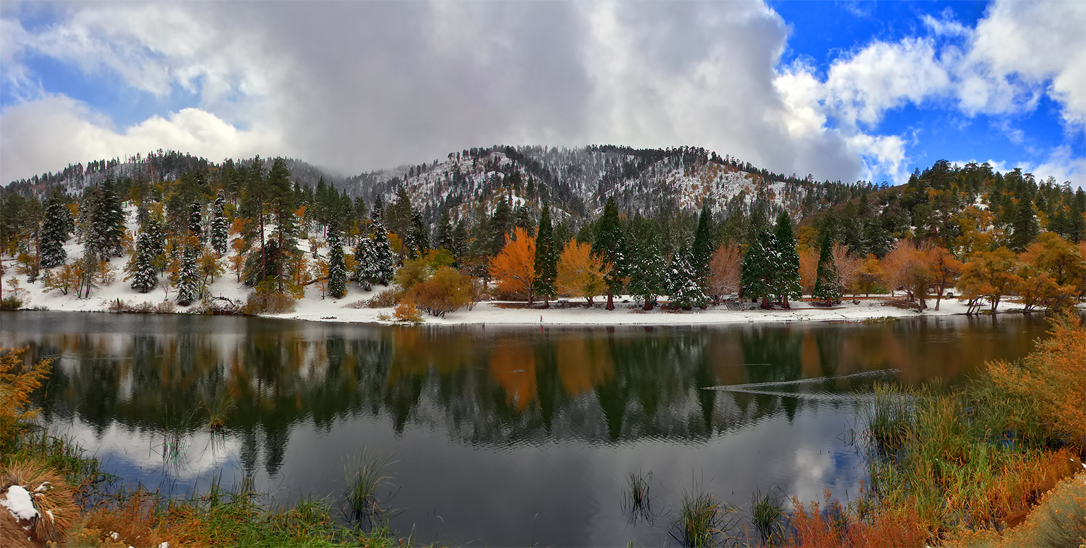 Why Build a Modular Home in Valyermo, CA