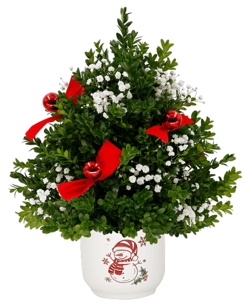 Royer S Flowers Hershey Pa Best Flower Site