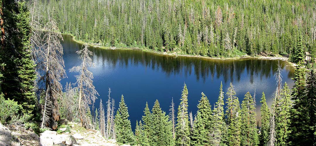 Echo Lake Area Photo 17