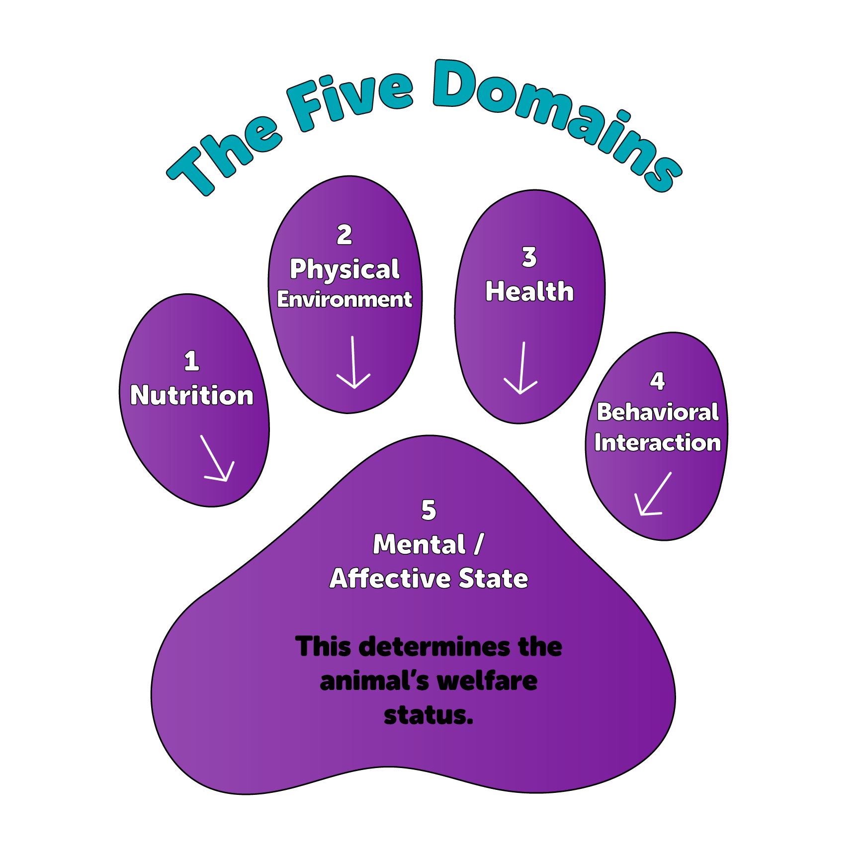 The Five Domains Animal Welfare and Wellbeing Humane Society of Utah