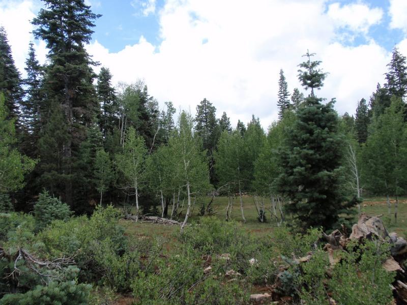 Duck Creek Real Estate Brian Head Real Estate