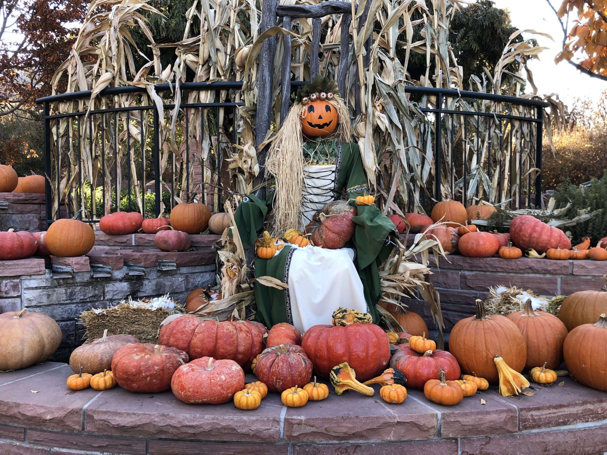 Fall Activities in Utah Utah's Adventure Family