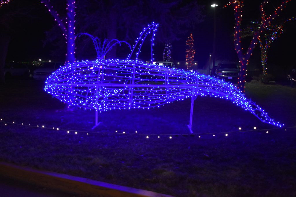 When Are Layton City Christmas Lights 2023 Layton Lights in the Park Utah's Adventure Family