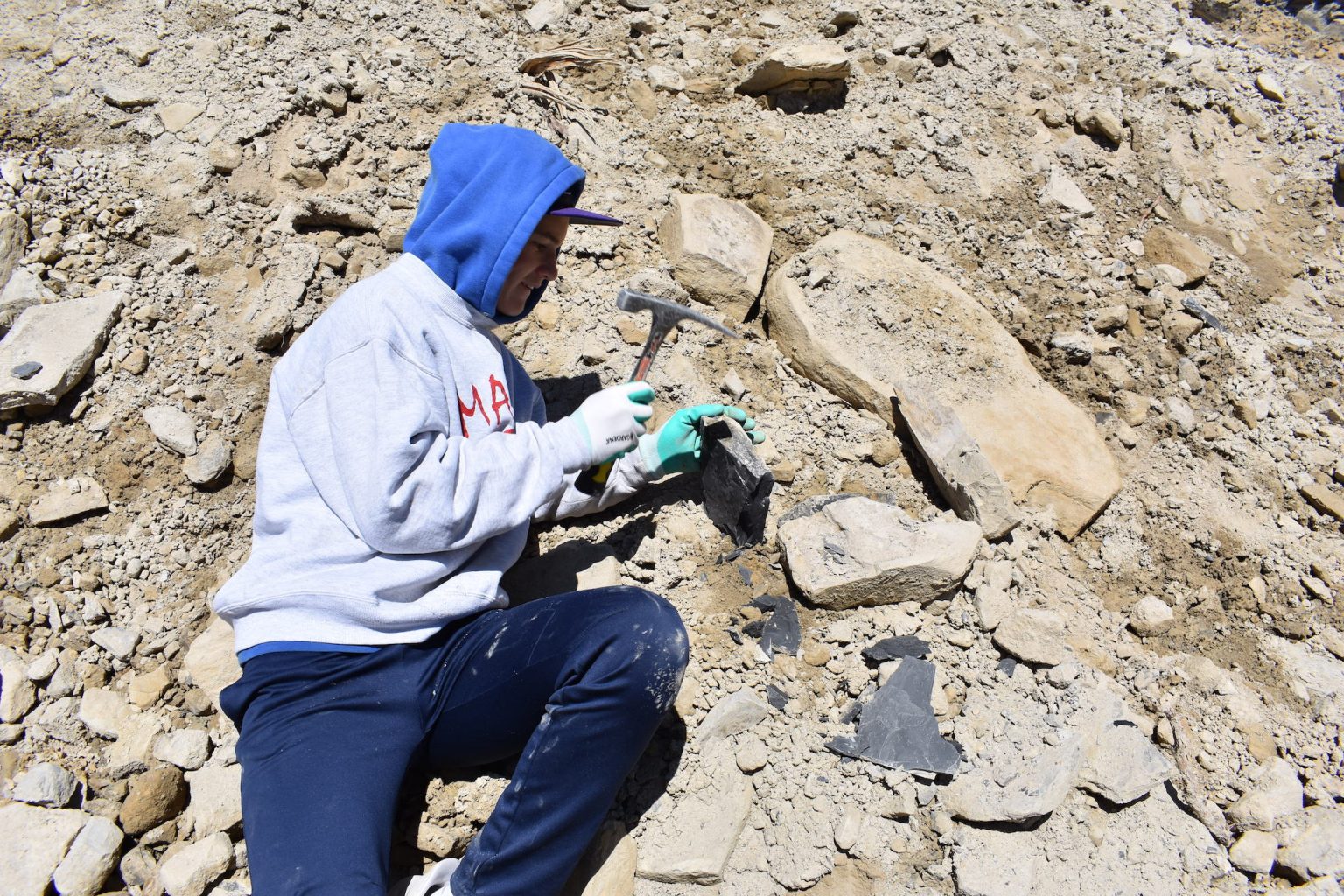 UDig Fossils Find your own fossils near Delta Utah's Adventure Family