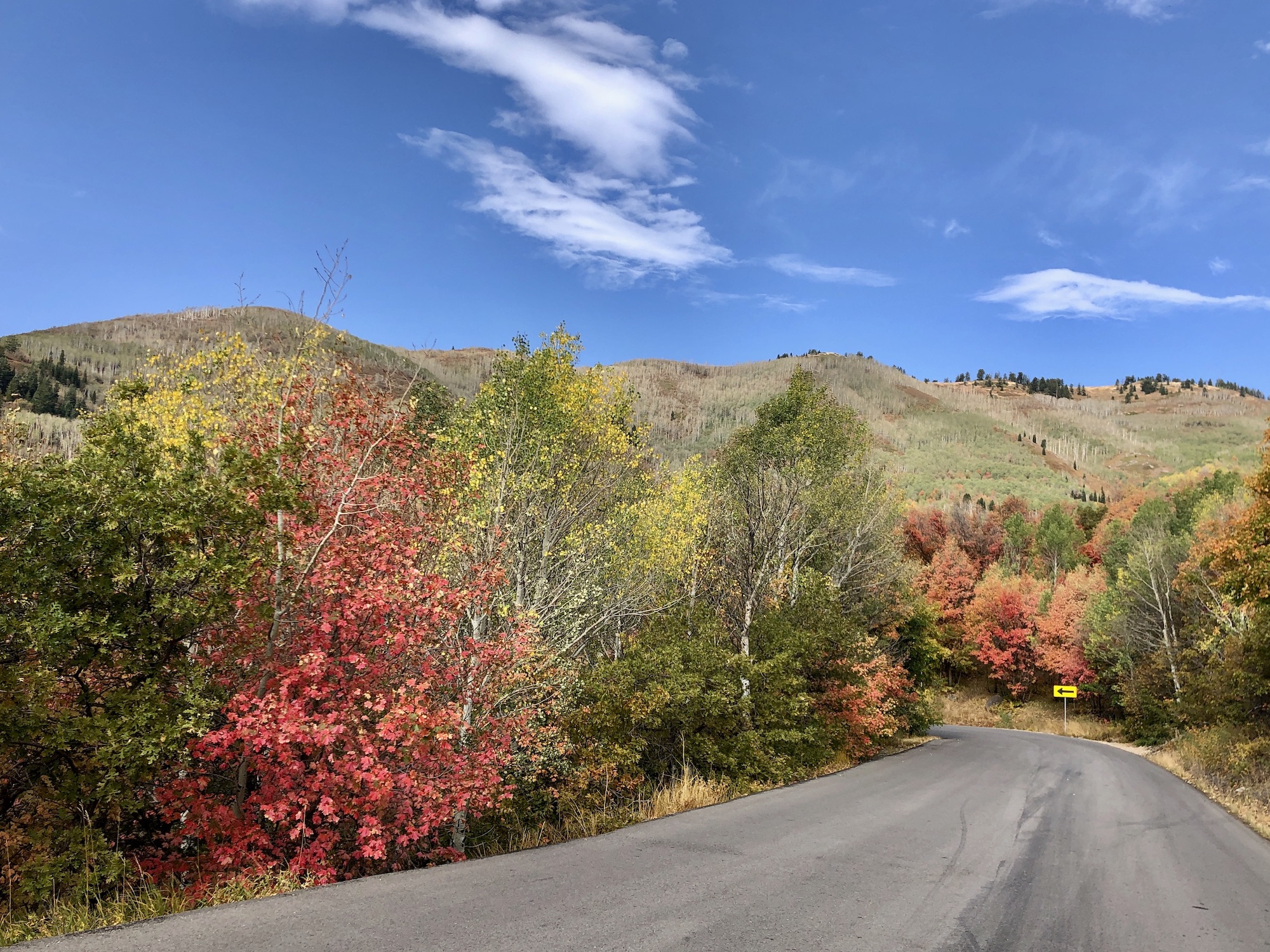 Fall Drives in Utah Utah's Adventure Family