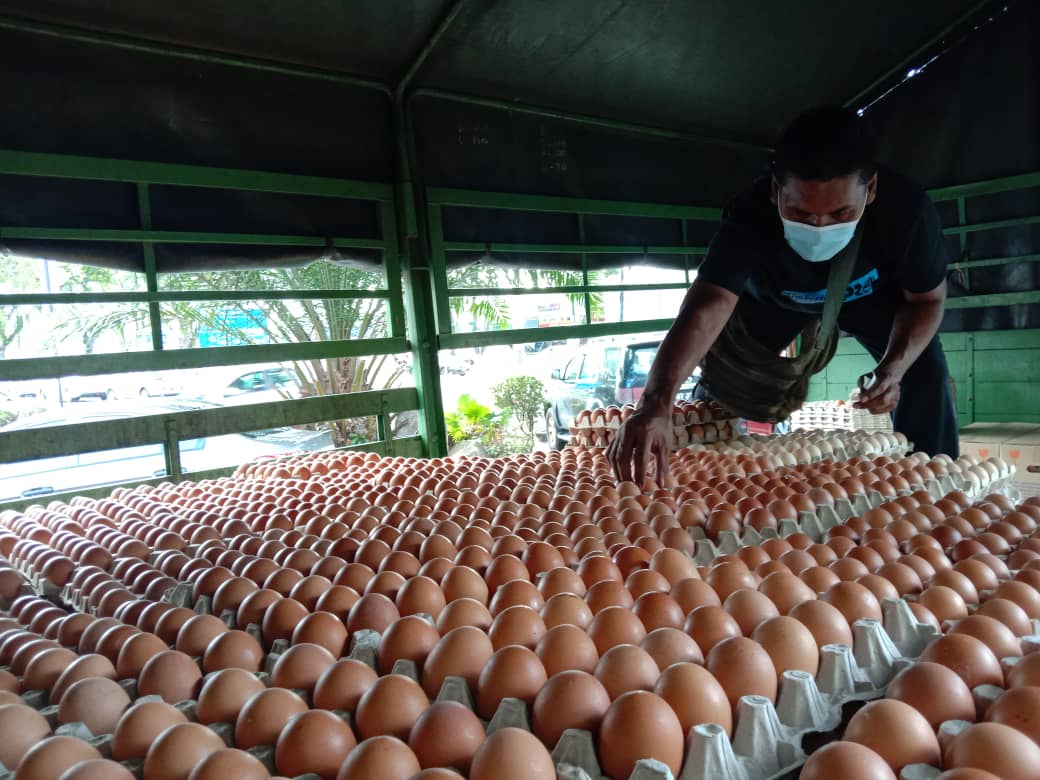 Harga telur, kambing, ayam pada Ogos cecah paras tertinggi tahun ini