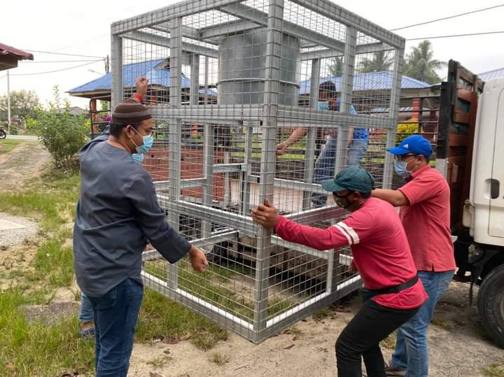 Cara Nak Halau Tikus Cara Terbaik Halau Tikus bahejabella Bila