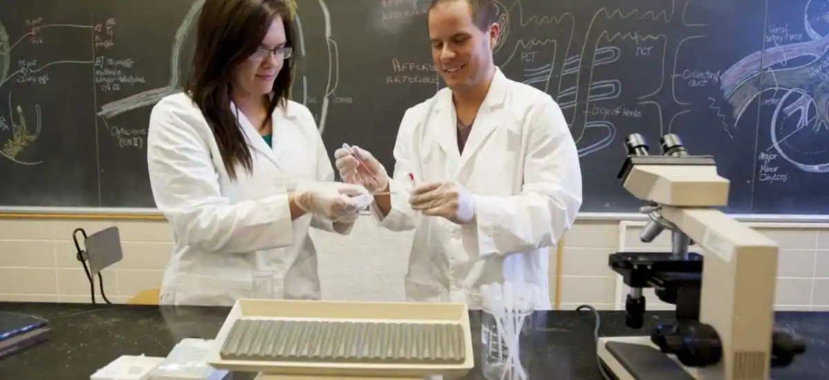 2o Best Paying Jobs In Major Chemicals Uvig