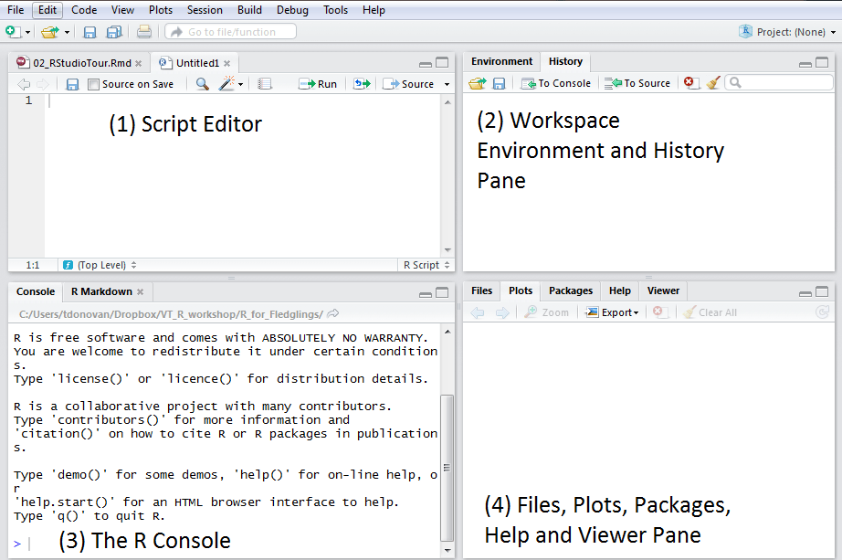 Chapter 2 A Brief Tour of RStudio R for Fledglings