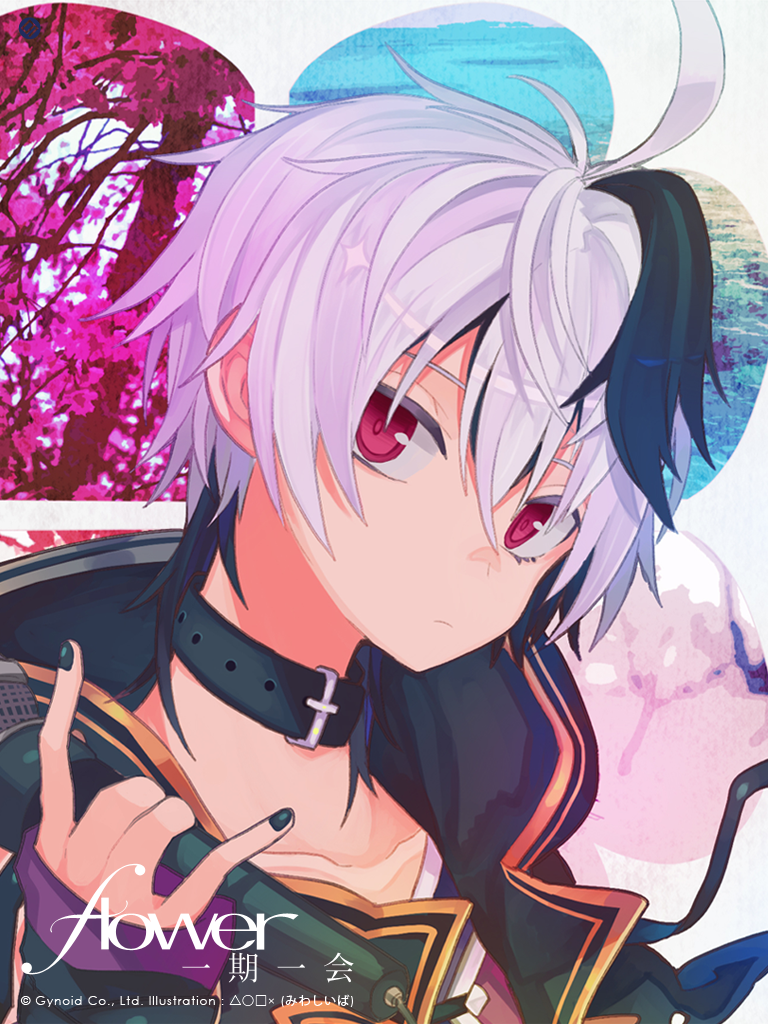 v flower(ブイフラワ)公式サイト