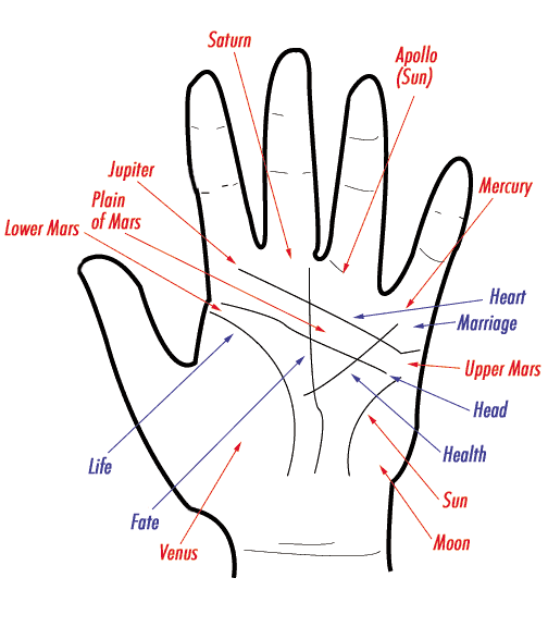 Palmistry