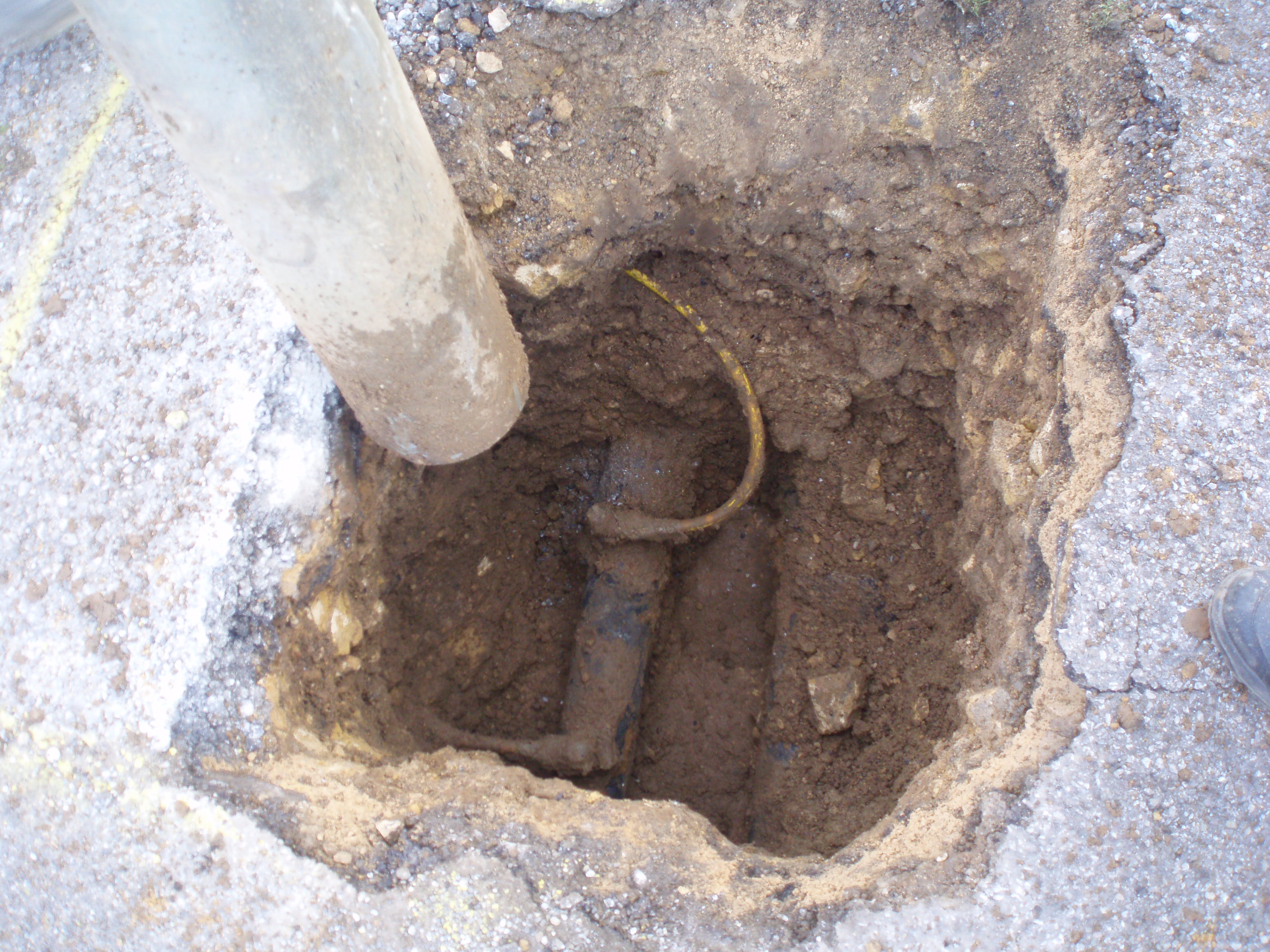 How does VacEx work?