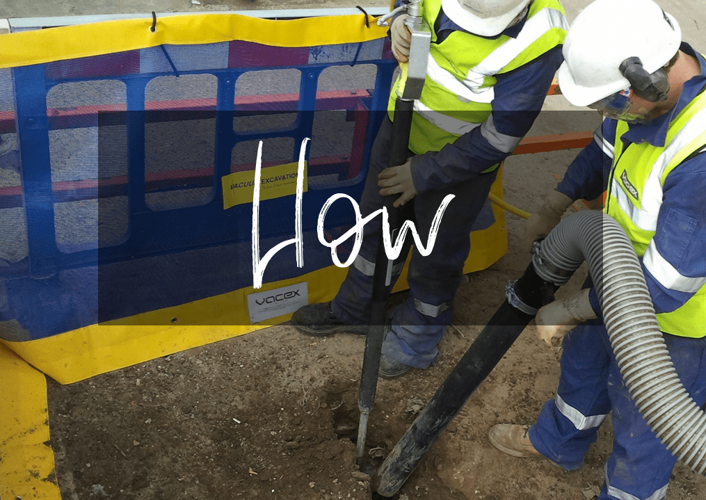 How does VacEx work?