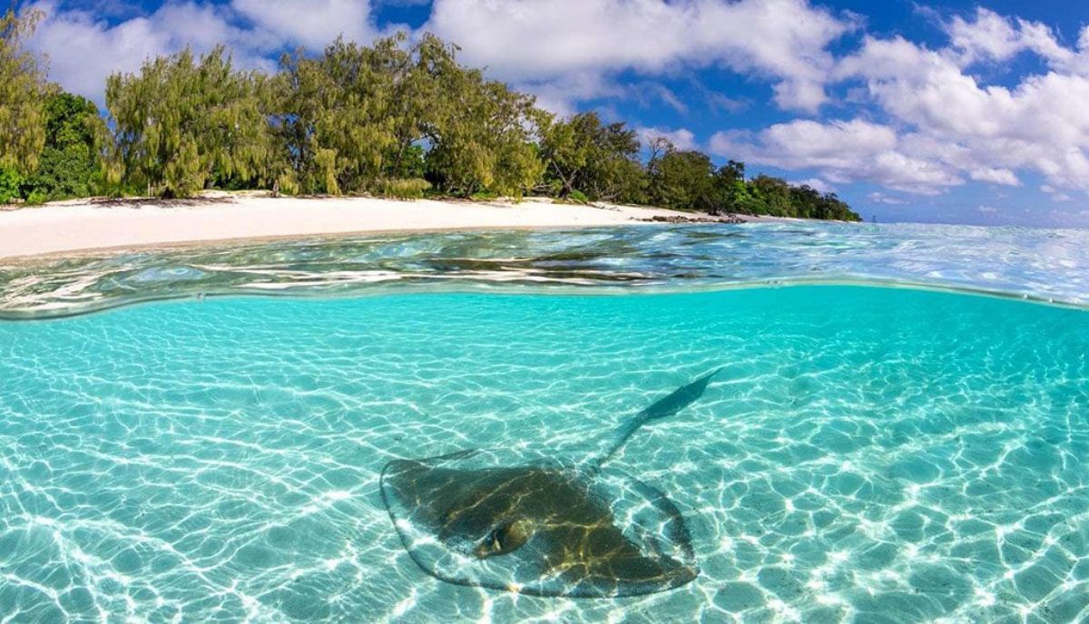 12 Aussie private islands you can rent from budget to luxury (2023)