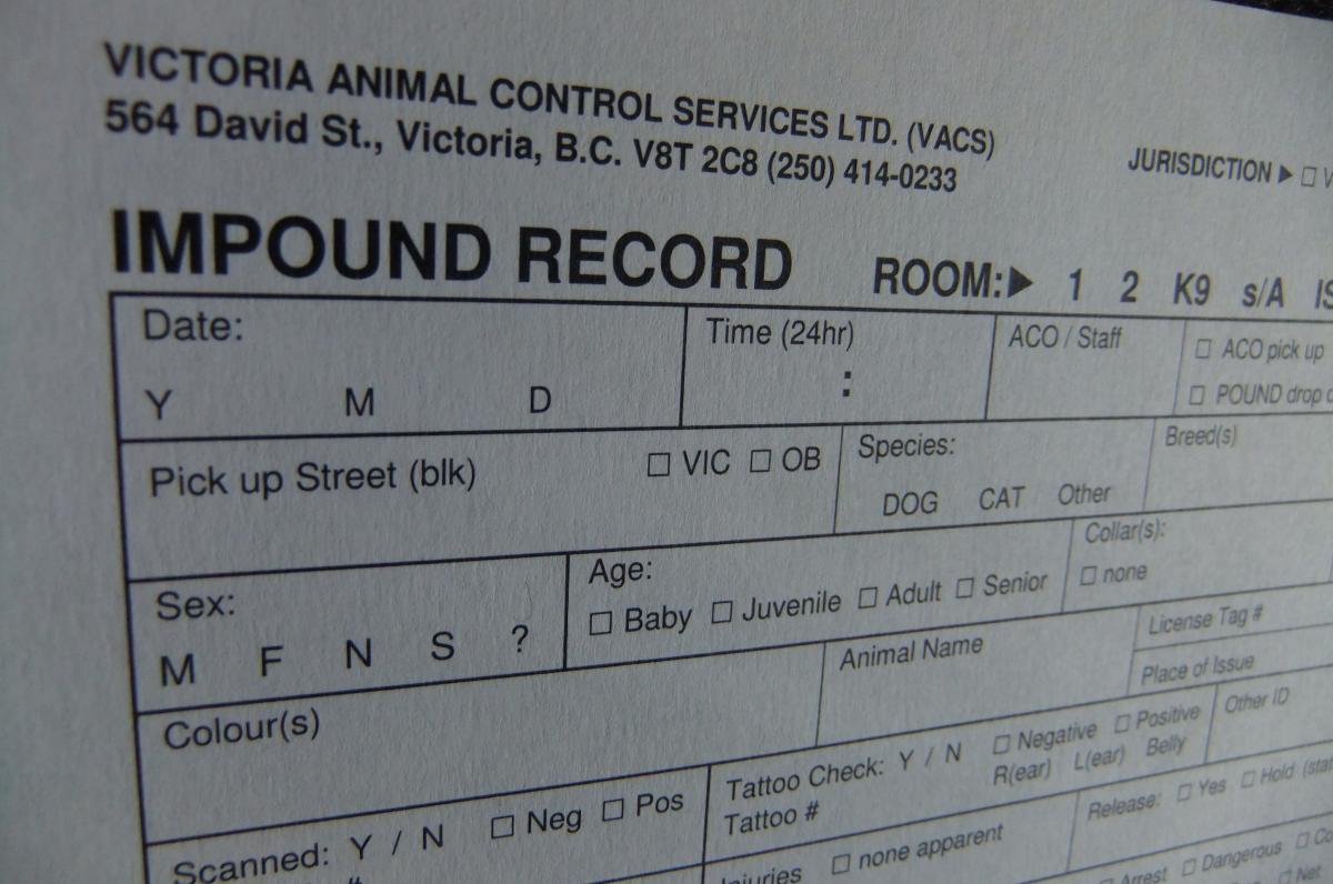 Bylaw Regulations Animal Control Services