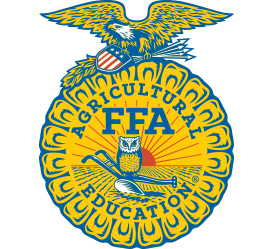 What is FFA?