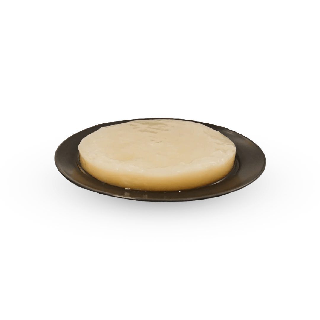 Scoby til kombucha Vakka