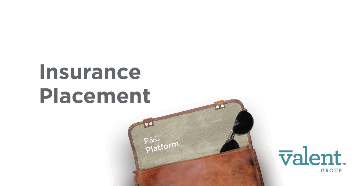 Insurance Placement Risk Consulting Valent Group
