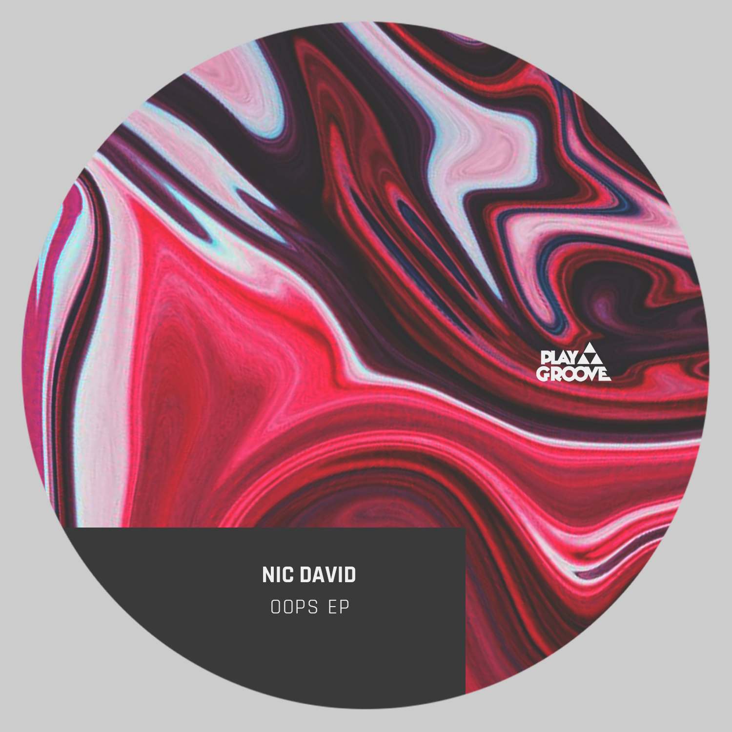 Nic David