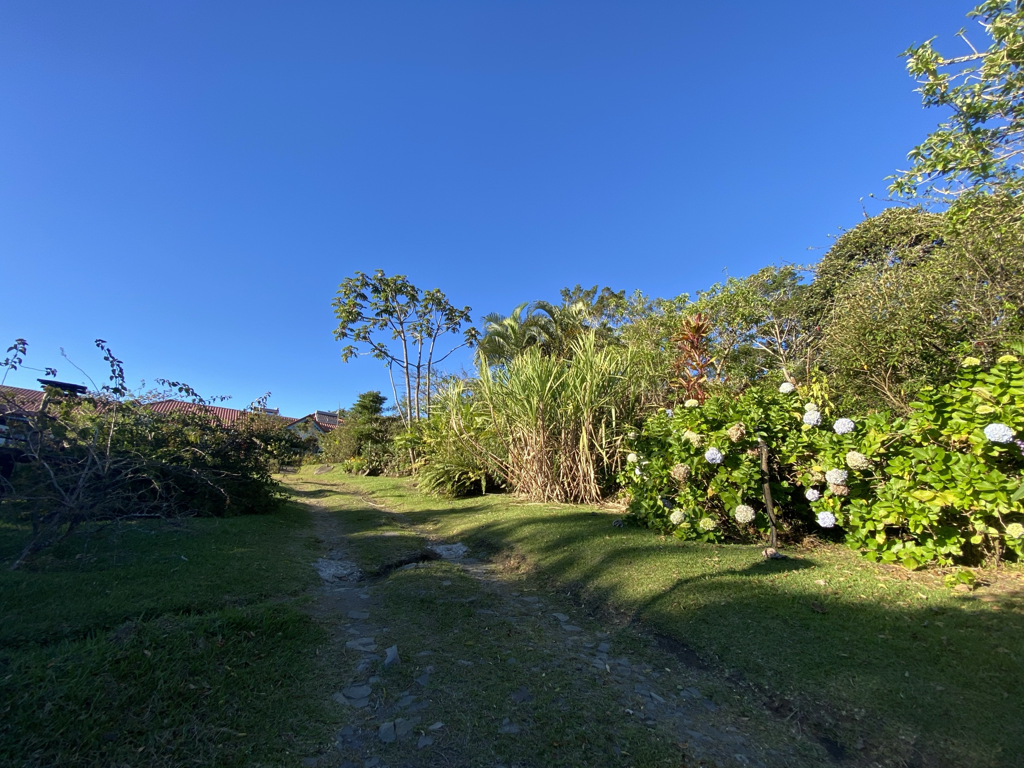 Hermoso terreno en venta en Monteverde. Costa Rica Real Estate Your