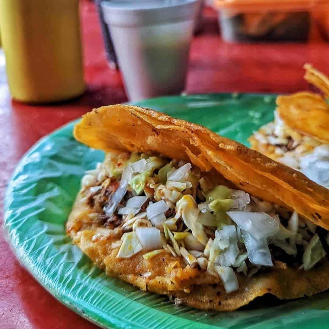 Total 96+ imagen birria de cocula Abzlocal.mx