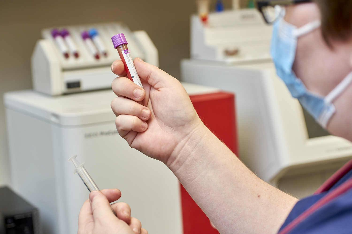 Understanding Blood Tests For Dogs Dog Lab Tests