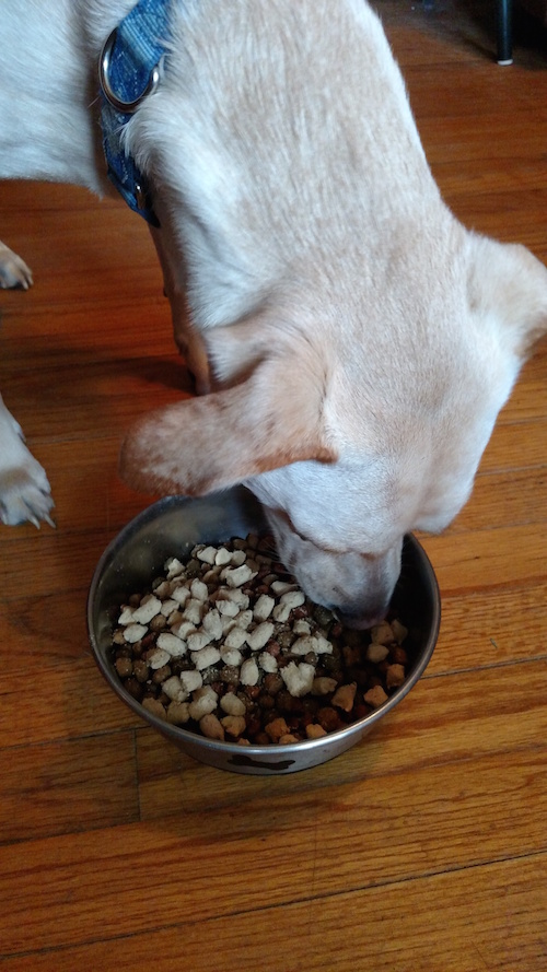 MixItUp With Raw With Instinct Raw Boost Mixers At PetSmart From Val