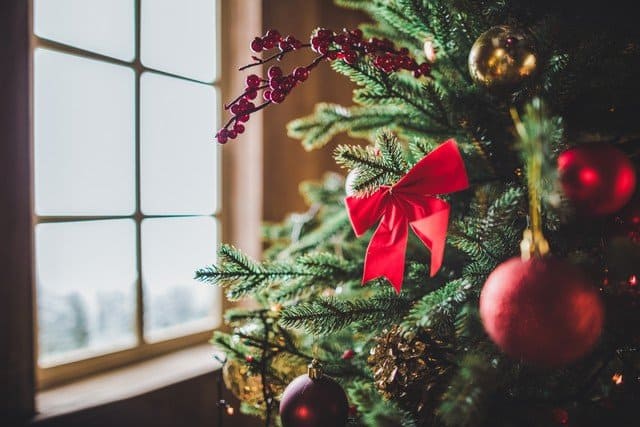 Is Your Christmas Tree Triggering Mold Allergies Have Your Ever