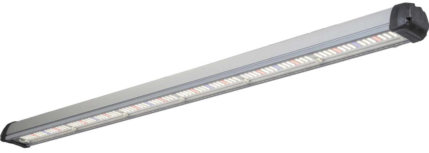 Valoya LED Grow Lights Optimised for Plant Production and Research