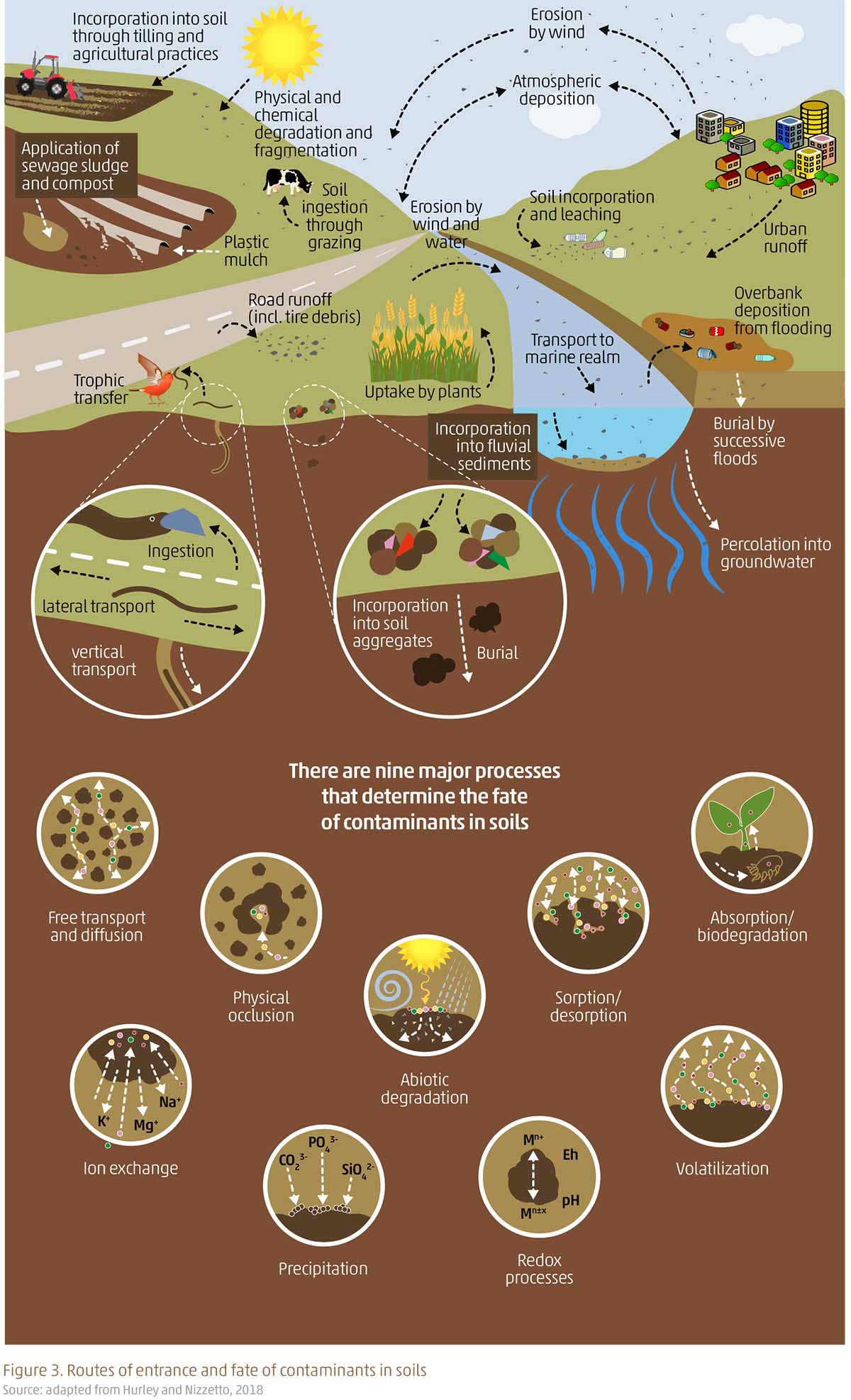 Launch Of The Global Assessment Of Soil Pollution Report ValueWalk