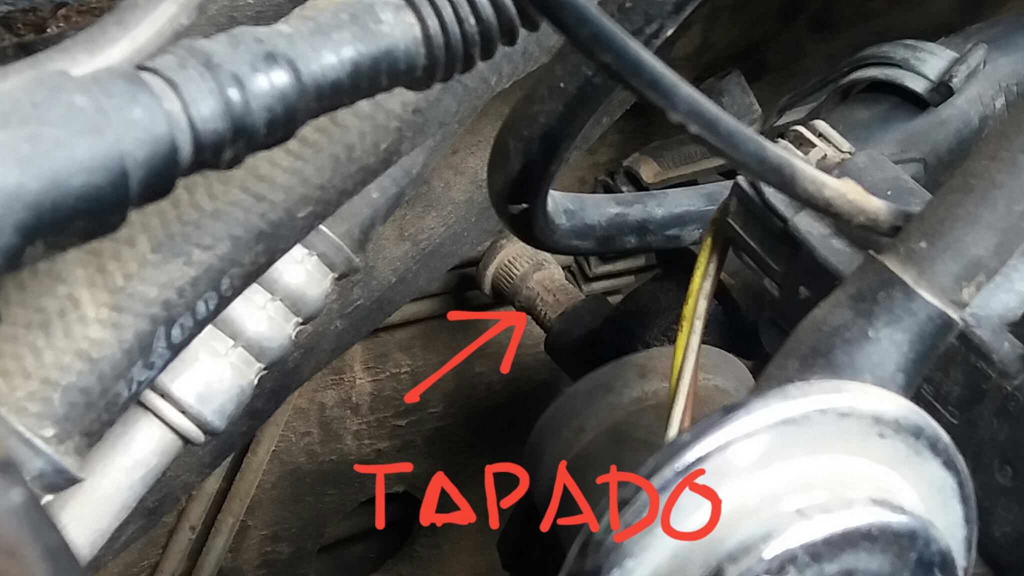 Conexión de manguera ford focus Split