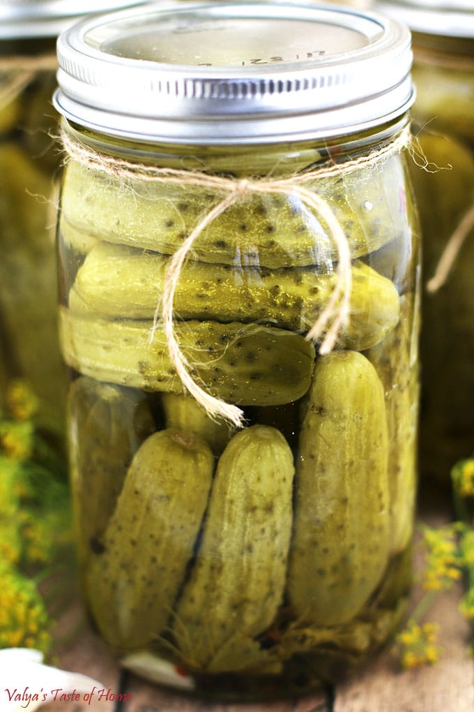 Super Easy Dill Pickles Recipe (Perfect for Beginners!)