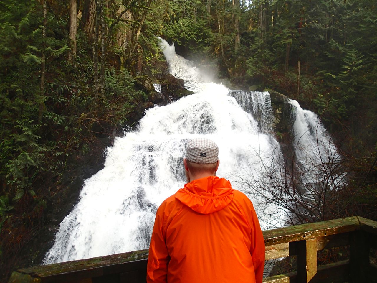 Best Rainy Day Hikes Near Vancouver Vancouver Trails