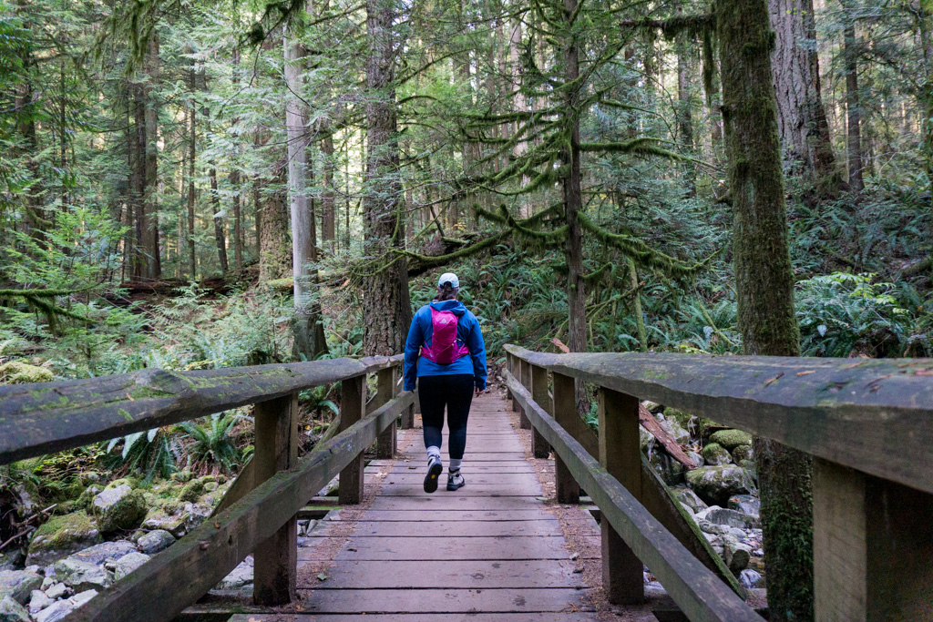 Best Rainy Day Hikes Near Vancouver Vancouver Trails