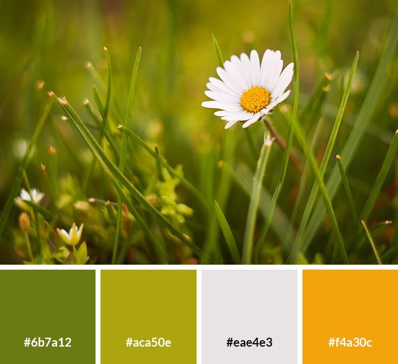 17 Spring Color Palettes (with Hex Codes) for Your Designs (2024)