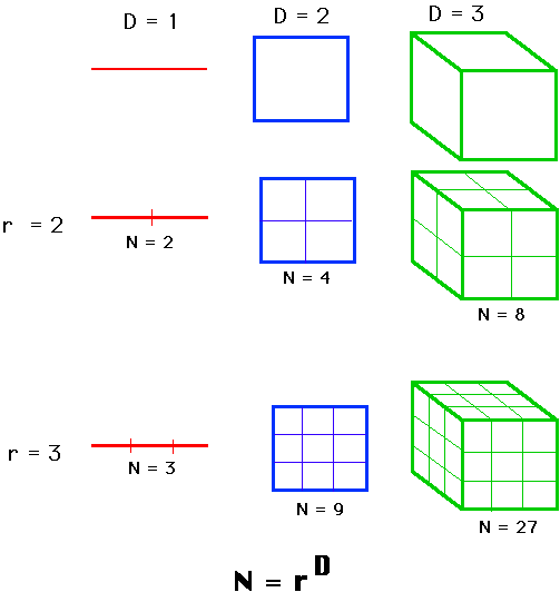Fractals &amp; the Fractal Dimension