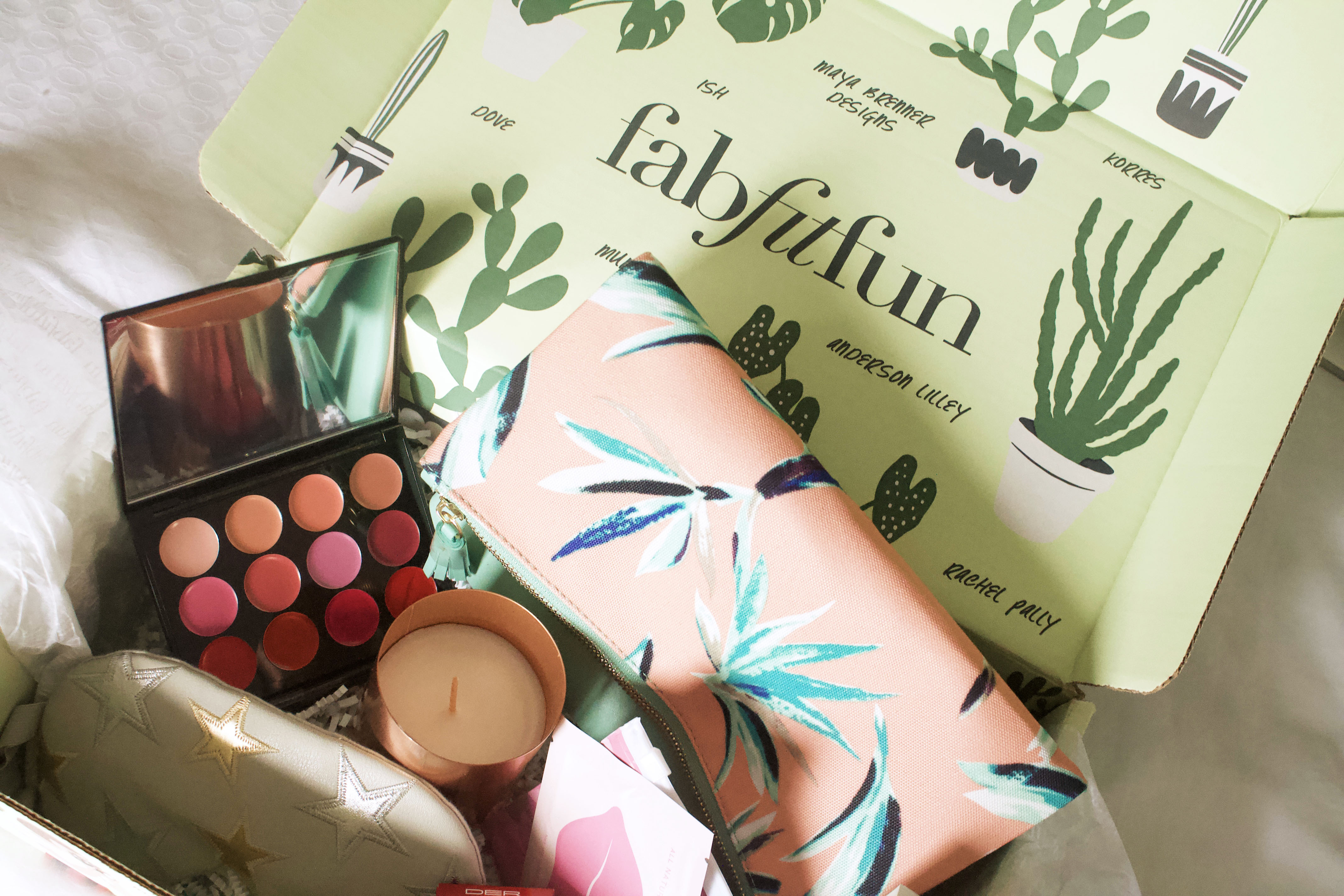 fitfunfab fall 2023 FabFitFun Spring 2018 Box Inside — Vanessa Kingson