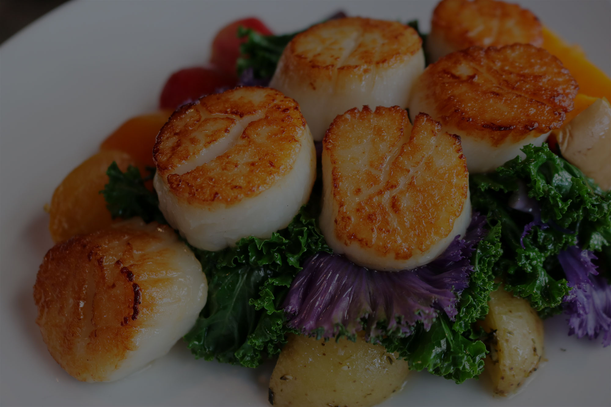 The Vancouver Fish Company Restaurant & Bar Home of amazing seafood