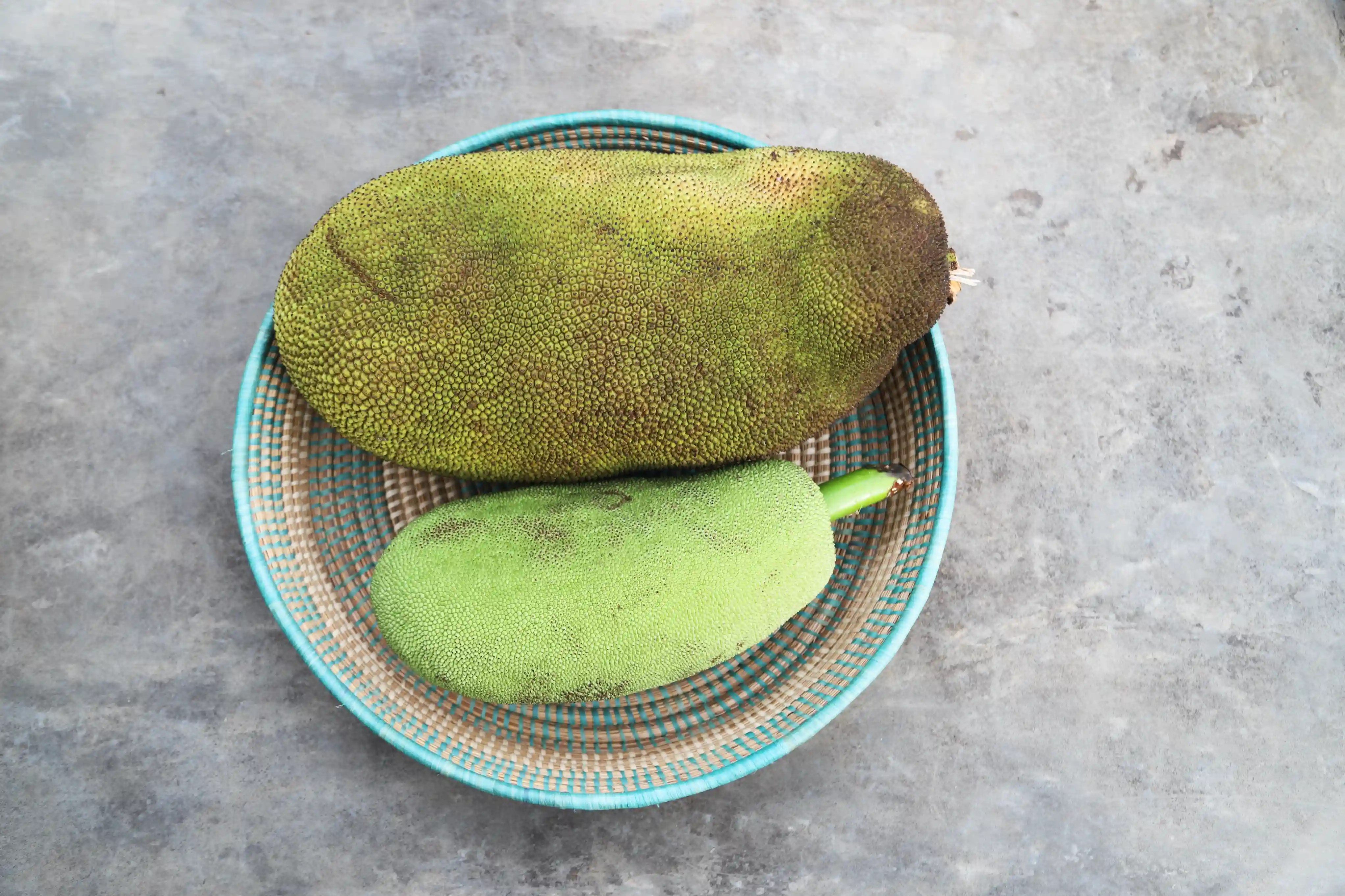 Jackfruit uit Afrika van boom tot bord Van Gelder groente & fruit