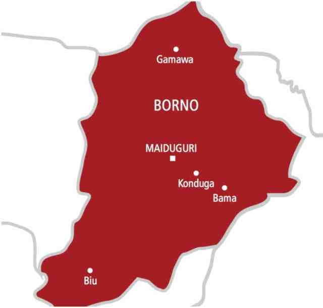 Borno rice farmers, governors