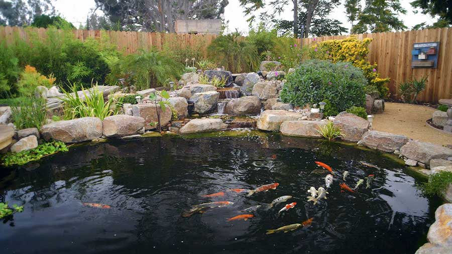 Everything Needed To Build a Koi Pond